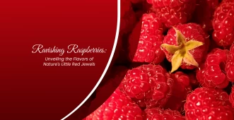 raspberries banner intro
