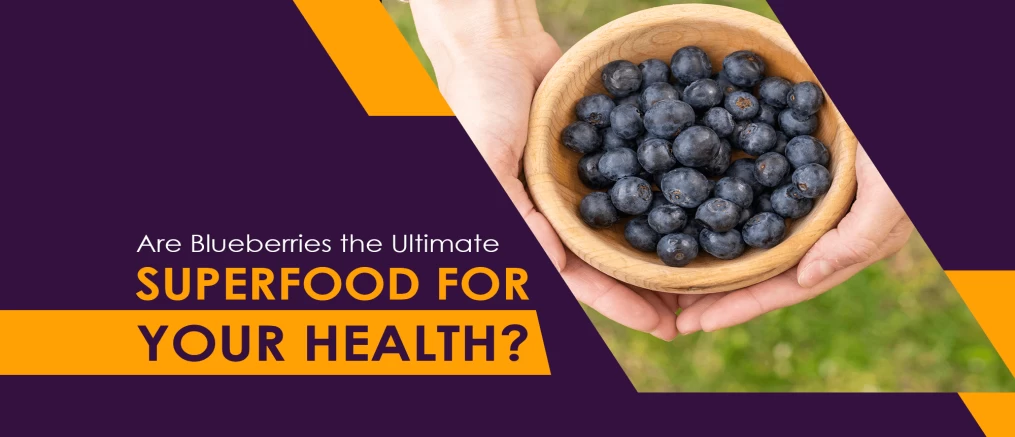 blueberries the ultimate superfood