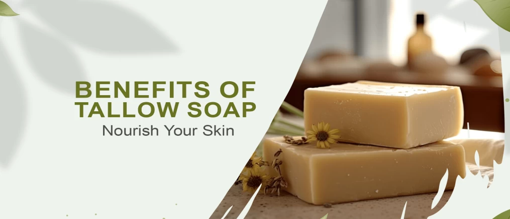 benefits of tallow soap
