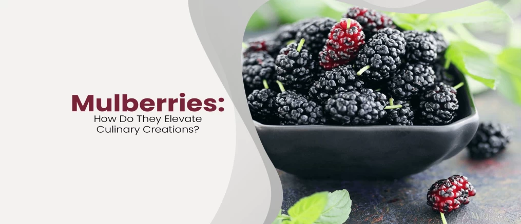 mulberries elevate culinary creations